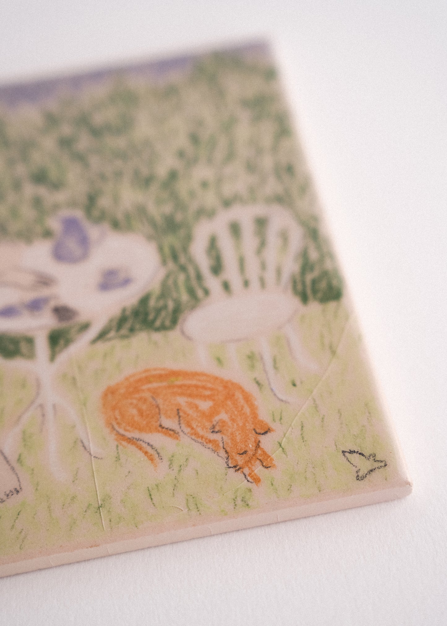 Siesta en el Jardín